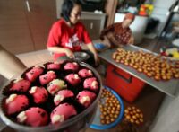 2. Bisnis Rumahan